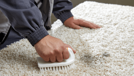 Professional Rug Cleaning Dingley Village