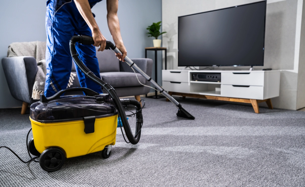 Extract Rug Cleaning Dingley Village Contact Office